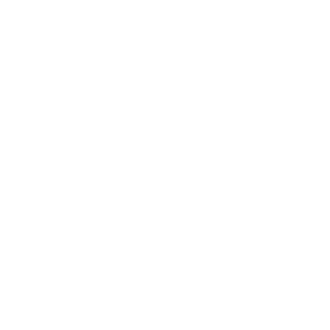 00 HOME Logo